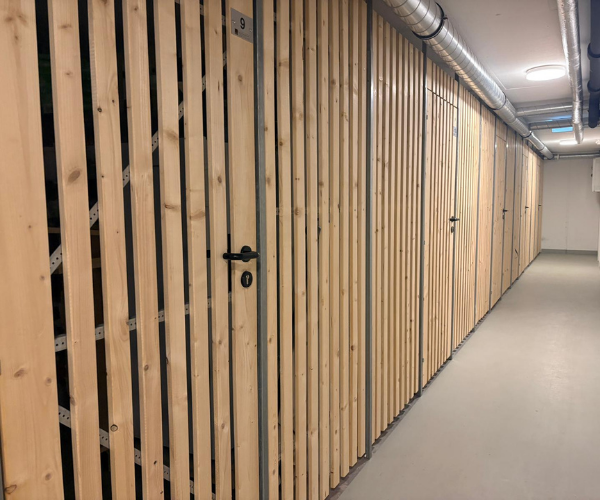 Feuchtigkeit im Keller