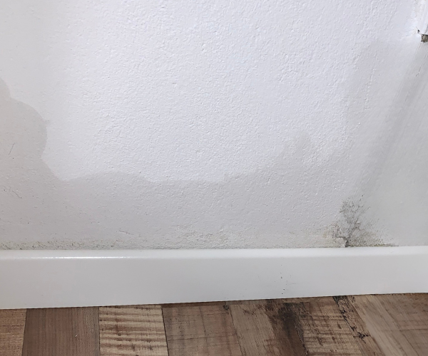 Die 7 häufigsten Ursachen für Feuchtigkeit in Gebäuden