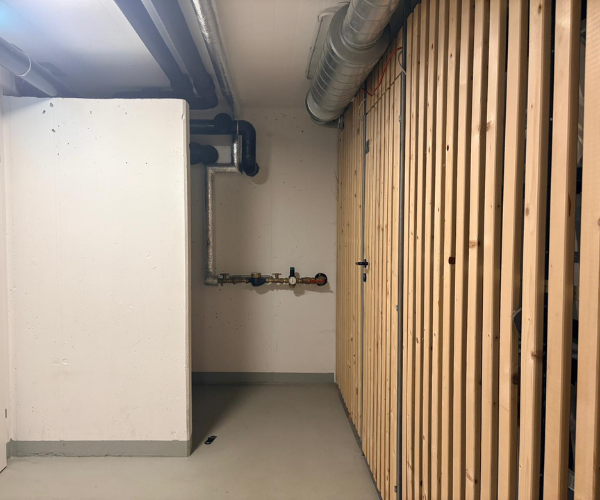 Modergeruch im Keller